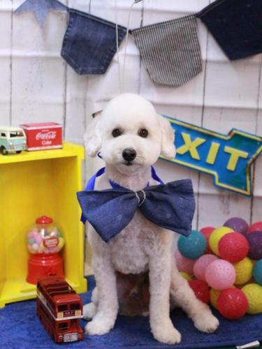 20230415ビビくん